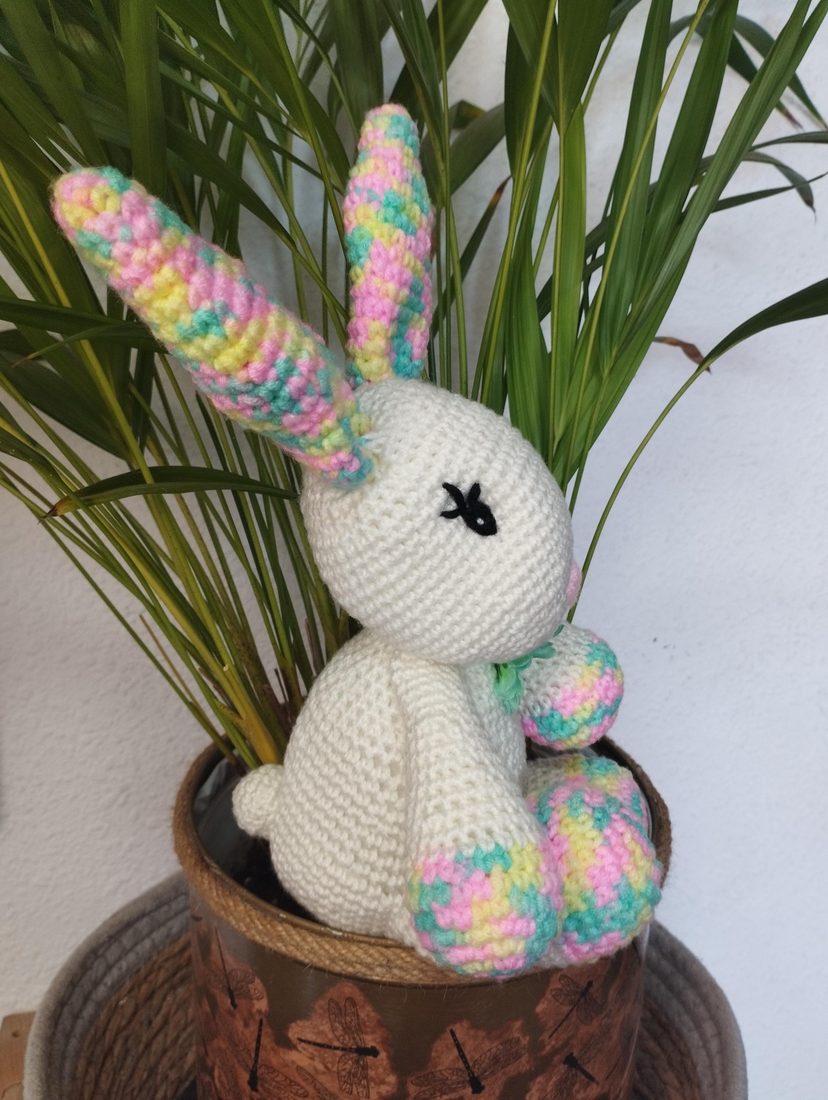 Candy Bunny